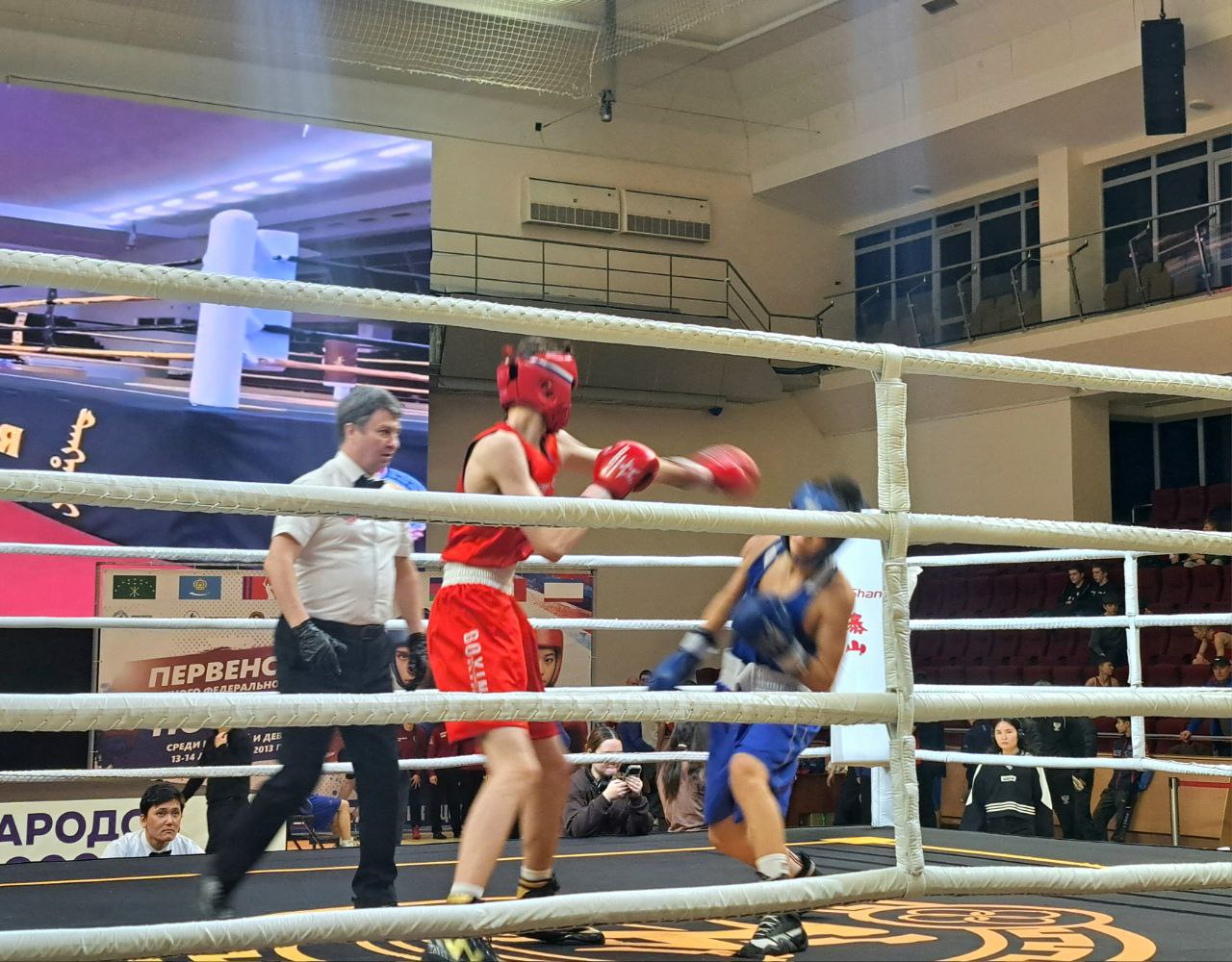 В Элисте открылись соревнования по боксу В Элисте открылись соревнования по боксу