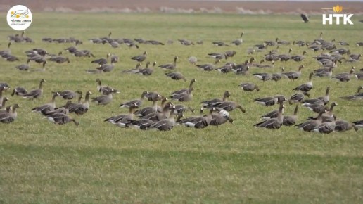 � ����� ������� �������� ������ ������������� ����