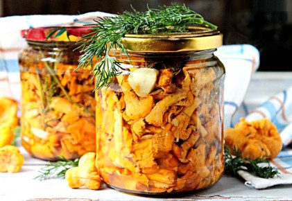 ��������� ���� ����: ������������ ������� ��� ��������