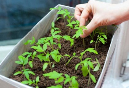 ��� ��������� ������� ������� ����� ���������� ����� �������� ��� ������