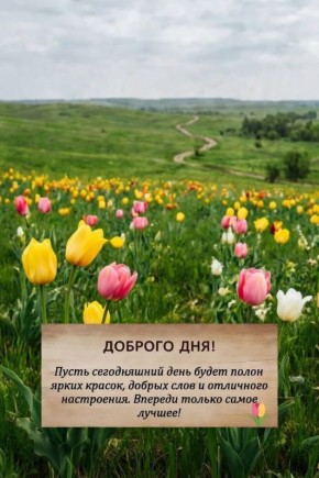 � ������� ������� ����� �������� ��������, ��� ��� ��������