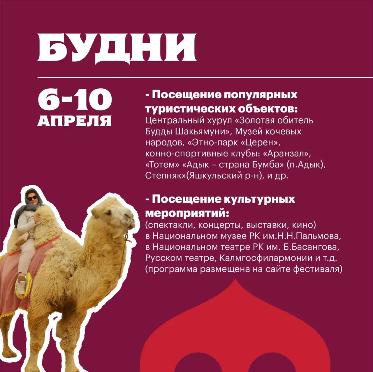 Стала известна культурная программа первой недели Фестиваля Тюльпанов Стала известна культурная программа первой недели Фестиваля Тюльпанов