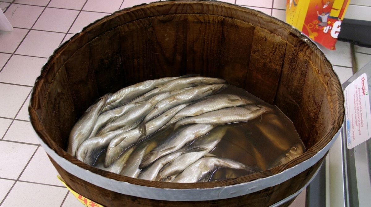 Почему пенсионерам стоит включить селедку в свой рацион: мнения диетологов