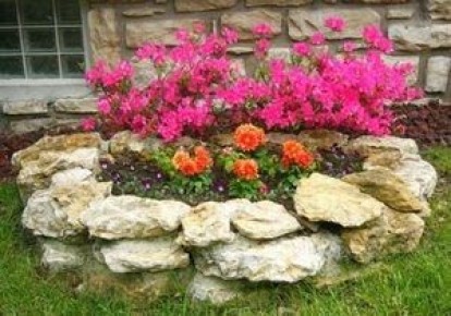 Очарование роз: как создать красивый розарий на даче