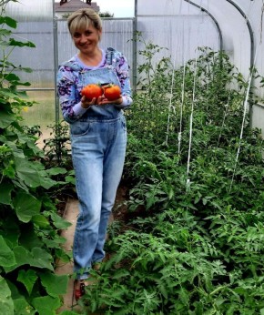 Как спасти урожай помидоров: типичные проблемы и решения