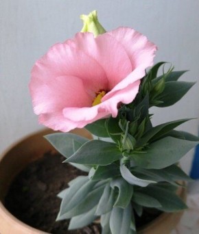 ��������� ����� �� ������: ����� ������ ���� �����