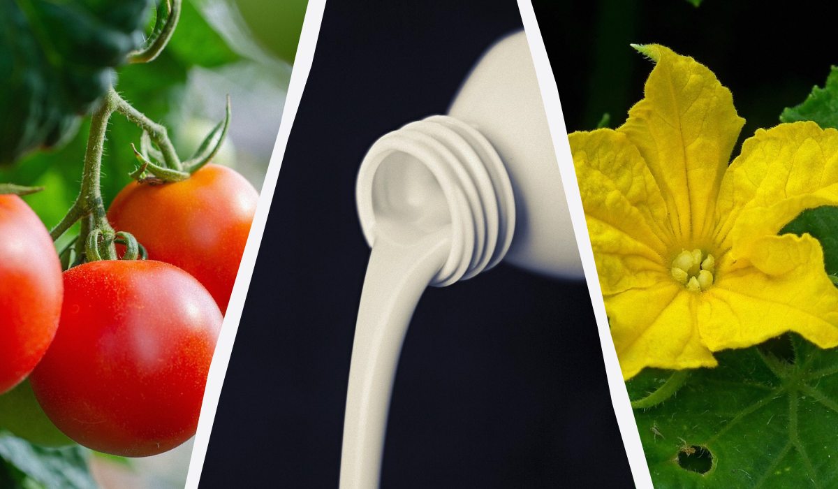 Как правильно поливать растения кефиром: секреты и советы для урожайного сезона