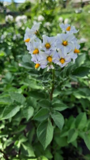 ��� ��������� ������ ��������� �� 40%: ������� ��������