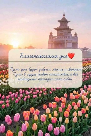 ������ ����, ������� ������!