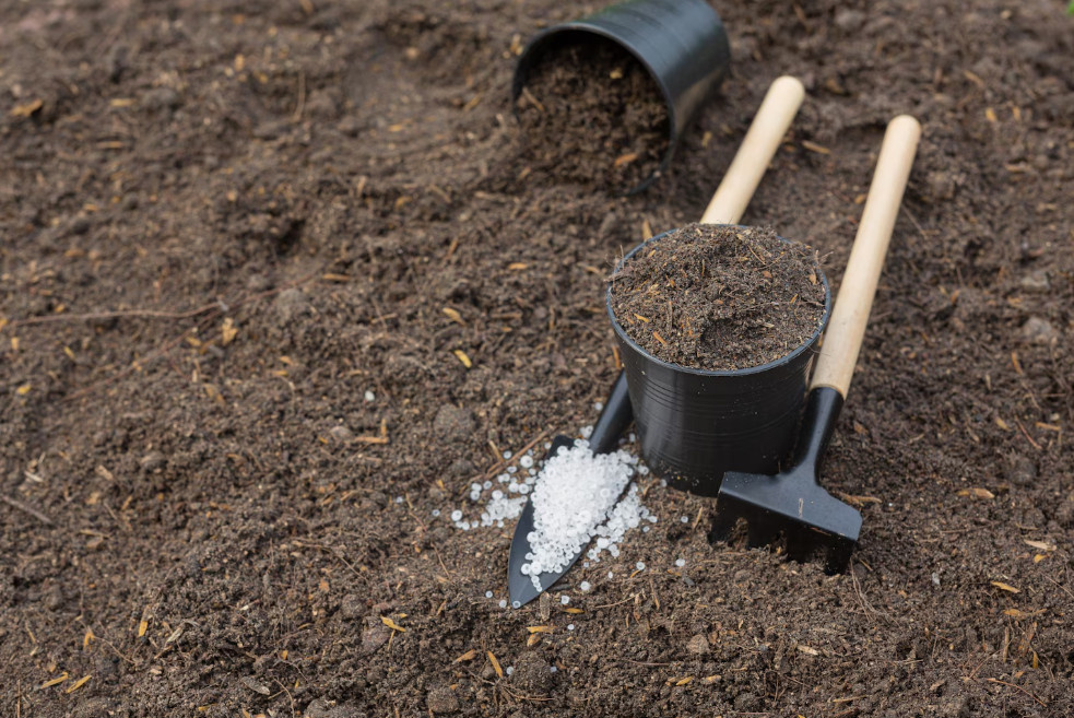 Как подготовить почву осенью для богатого урожая следующего года