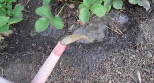 ����������� ������� �������� ��������� �������� ��� �������� ������