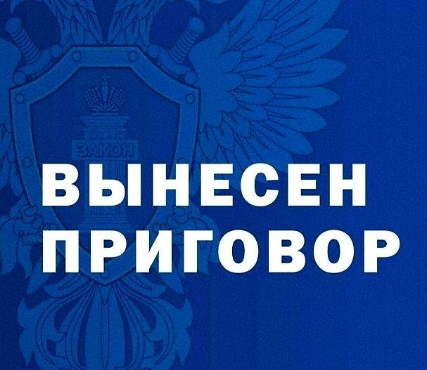 В Юстинском районе осуждены «дропперы» за пособничество в хищении денежных средств