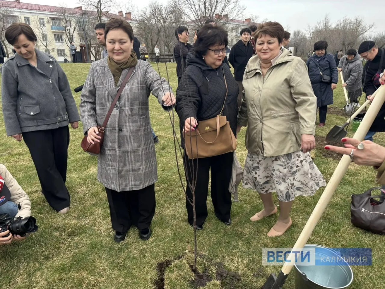 В День театра в Элисте высаживают аллеи Союза театральных деятелей России В День театра в Элисте высаживают аллеи Союза театральных деятелей России