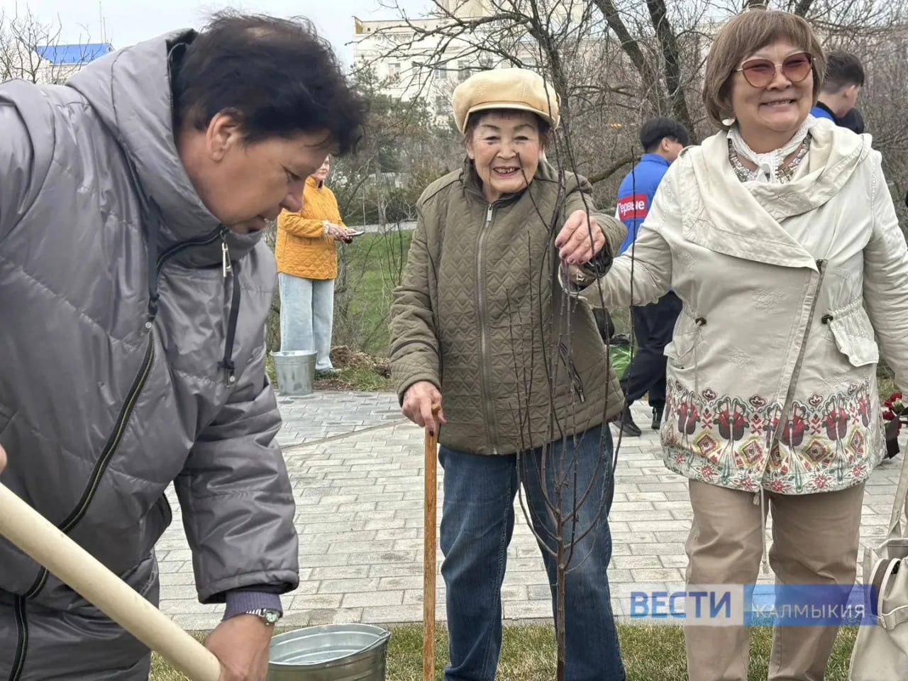 В День театра в Элисте высаживают аллеи Союза театральных деятелей России В День театра в Элисте высаживают аллеи Союза театральных деятелей России