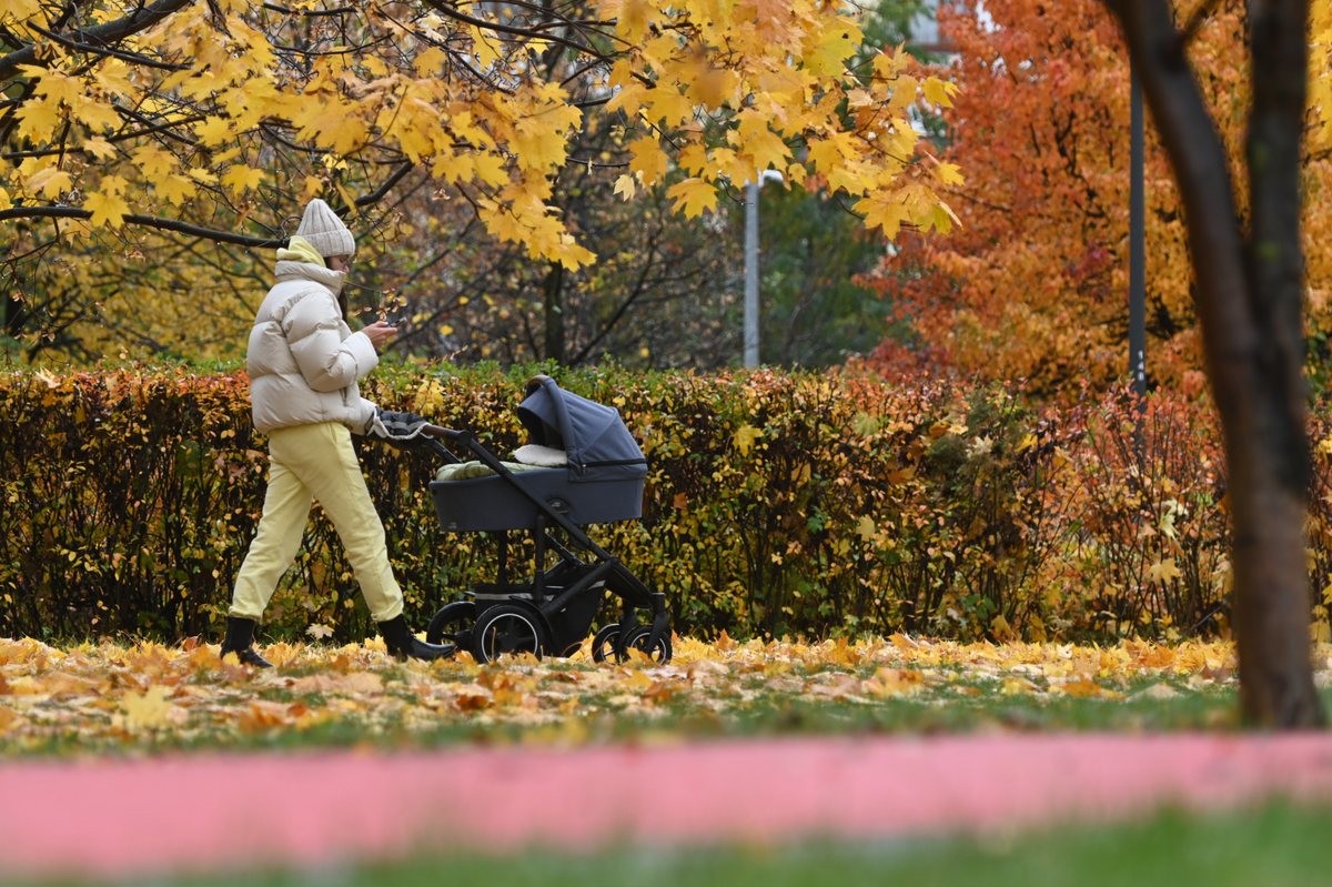 Разбираемся в правилах: Что учитывать при подаче на единое пособие в 2026 году?