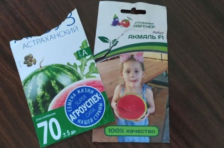 ������ �� ������ ������� � ����: ����� � ��� ��������� �����