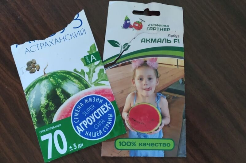 Советы по посеву арбузов и дынь: когда и как правильно сеять