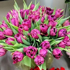 ������ � �� ������� �����: �����, ������� ����������� �� ���������� ���