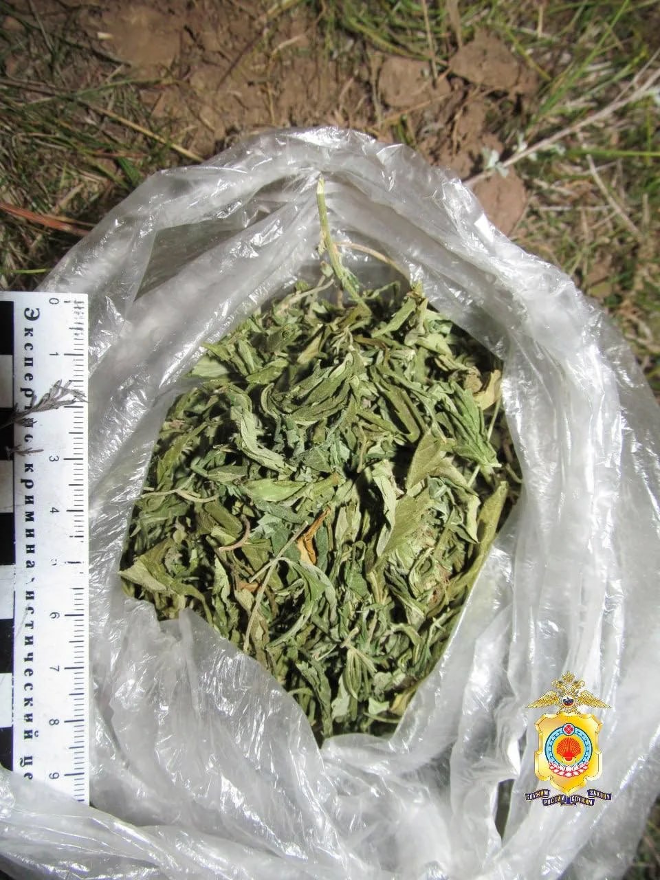 В Приютненском районе задержали мужчину, хранившего наркотики в собачьей будке