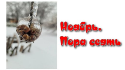 ��������� ������: ��� � ��� ������ ����� �����?