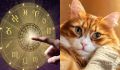 Как знак Зодиака влияет на характер вашей кошки