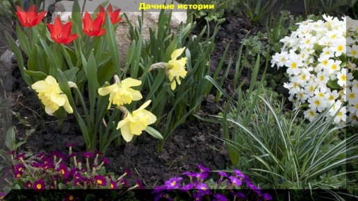 Ответы на популярные вопросы дачников: что нужно знать в этом сезоне