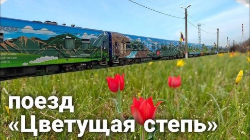 Из Москвы на фестиваль тюльпанов запустят специальный поезд «Цветущая степь»