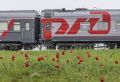 Степь цветет: РЖД запускает туристический поезд в Калмыкию