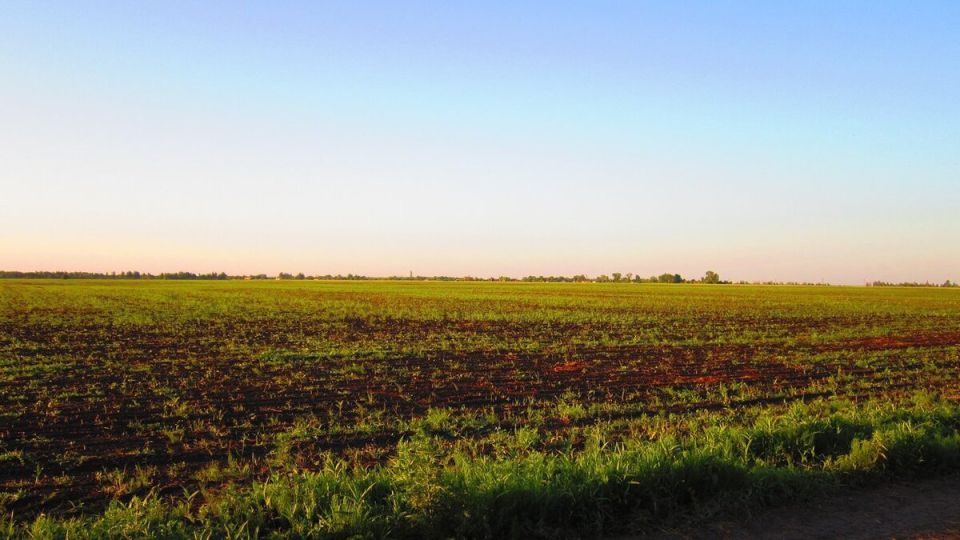 ������������ ������������� �����: ��� ������� ���� ��������� ��������