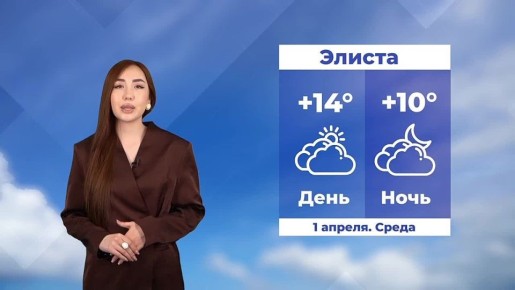 ������ ����, ��������!. ������� ������ �� 1 ������ #��������24