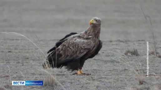 ������� � ������������� ���� ����