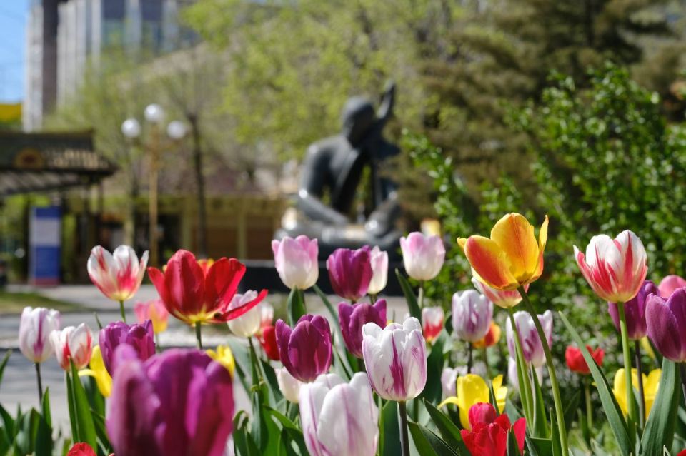 ����� �����!. � 4 �� 25 ������ �������� ����������� � ���� ������� ������������ ��������