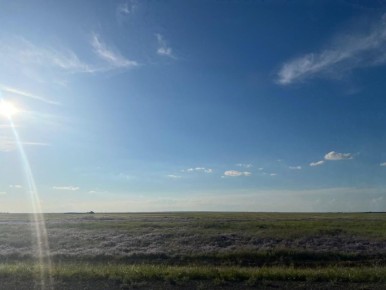 ������ ����!. ������� 2 ������, �������, �� ������������ ��� ������ �� ���� ����