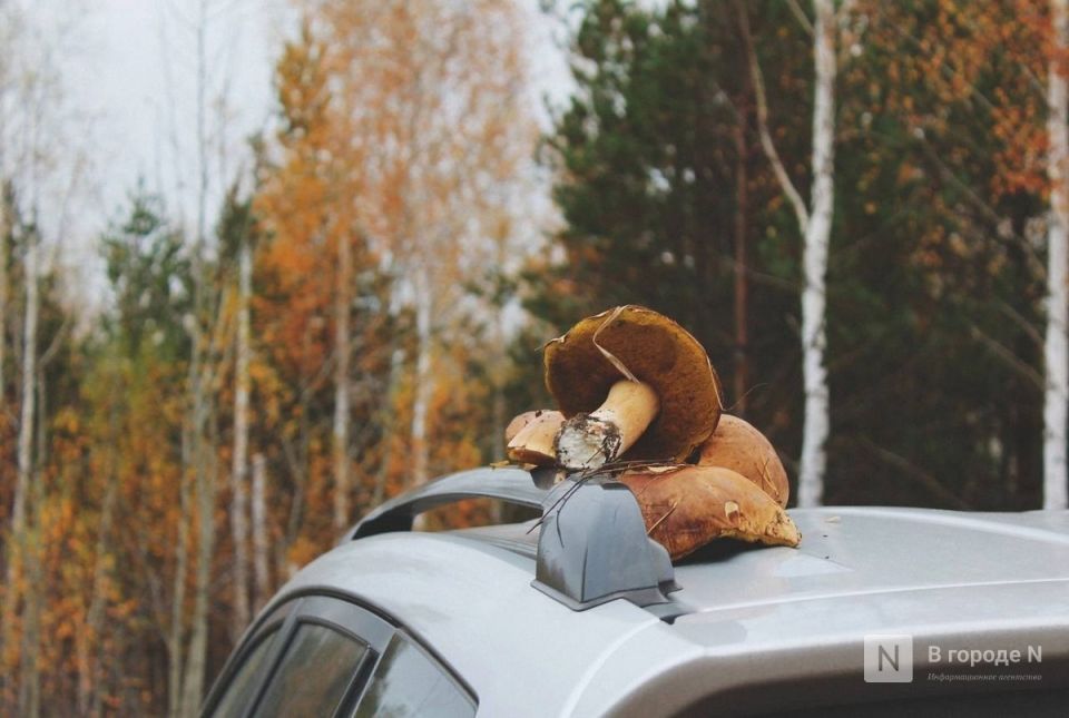 ����������� ������� ������: ����������� ���������� ����� ����� � ����� �������