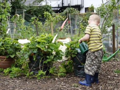 ��� ����������� ���� ������� �� ����: ������ � ������������