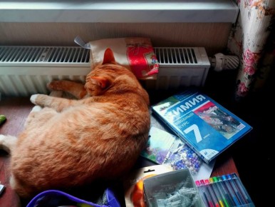 ��� ������������ �������� ������� ����� �� ��� �� 3000 ������ � ���