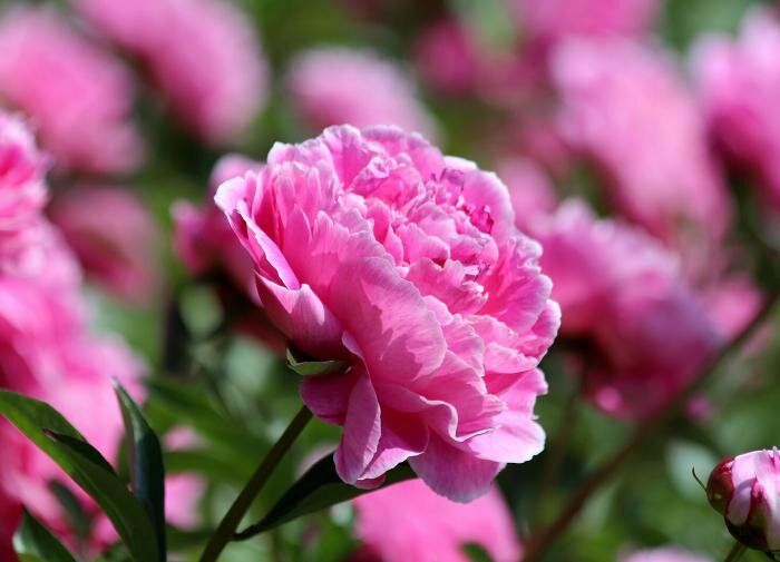 ��� ������� �������� ���: ���������� ��� ������