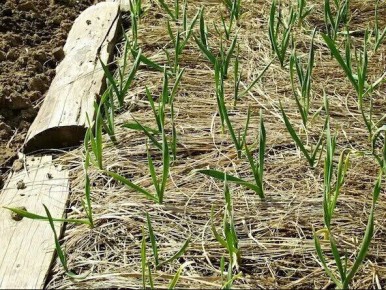 �� ����� ������ ��������� ��� �������: ���� �������� ������