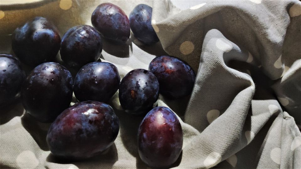 ������ ������� ����� �� �������: ������� ������, ������� ������� ������