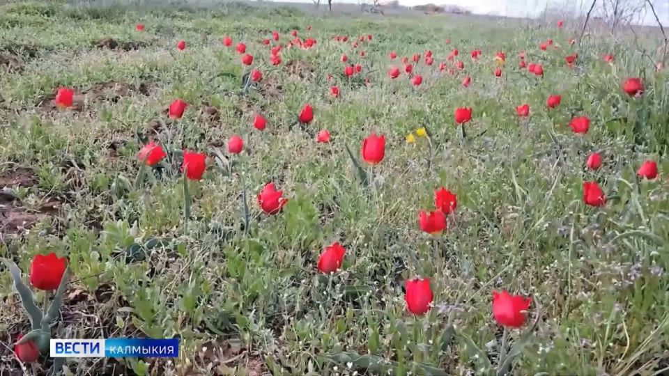 �� ��������� �������� � �������� ������ ����� � ��������� ���������������