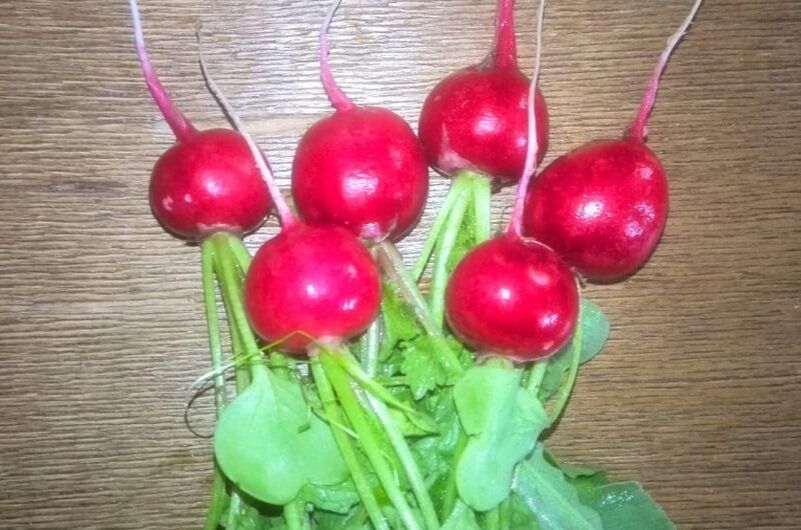 ��� ��������� ����� � ������ ����: ������� ��������� ������ � �������� ��������