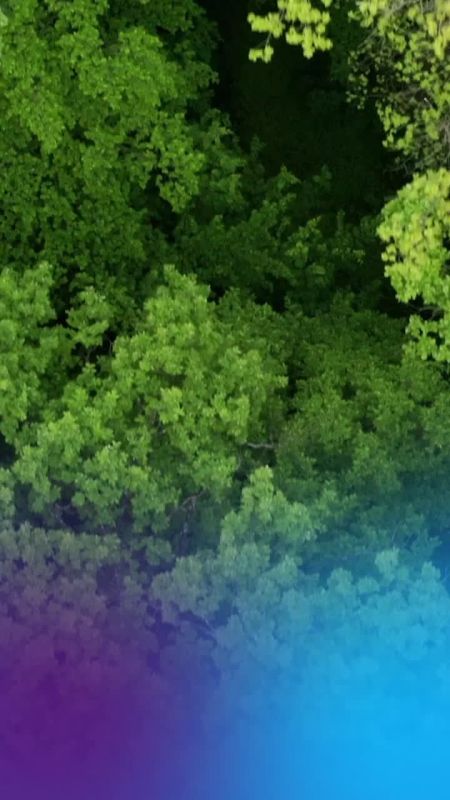 � �������� ��������� ������ ��������� �������������� � ������ 96,9% ������� � ������� ���� �������������� ���������