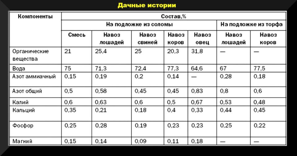 � ������ �� ������: ��������� ��� ��� � ������ ������