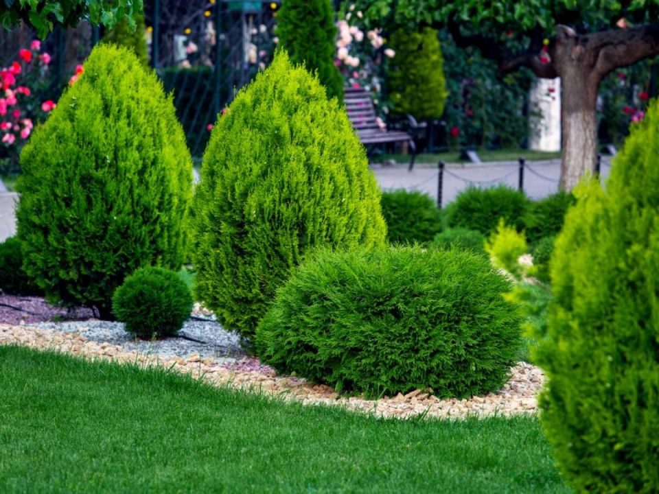 ��� ������ ����� �� ������� ����: ������� ����������� ���������