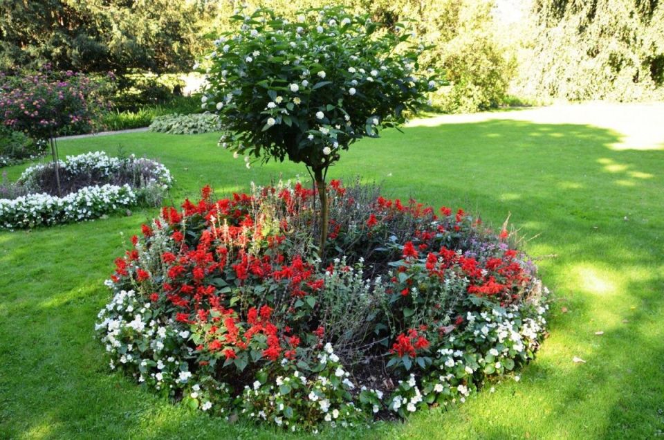 ��� ��������� ������������ ������������ ����� �������� ��� ������������ ����������