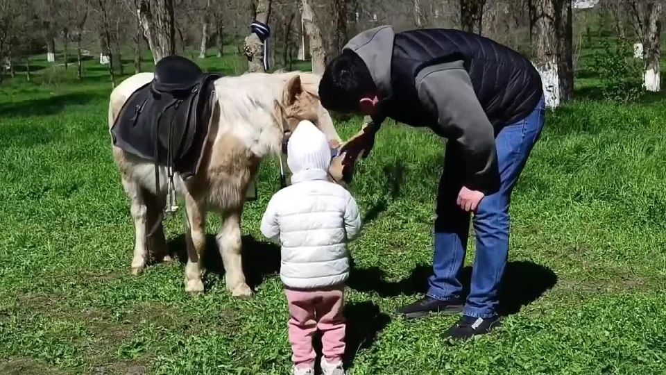 ���� �� ���������� ����� �������� ����� �����, ��������, ��������� ����� � �����