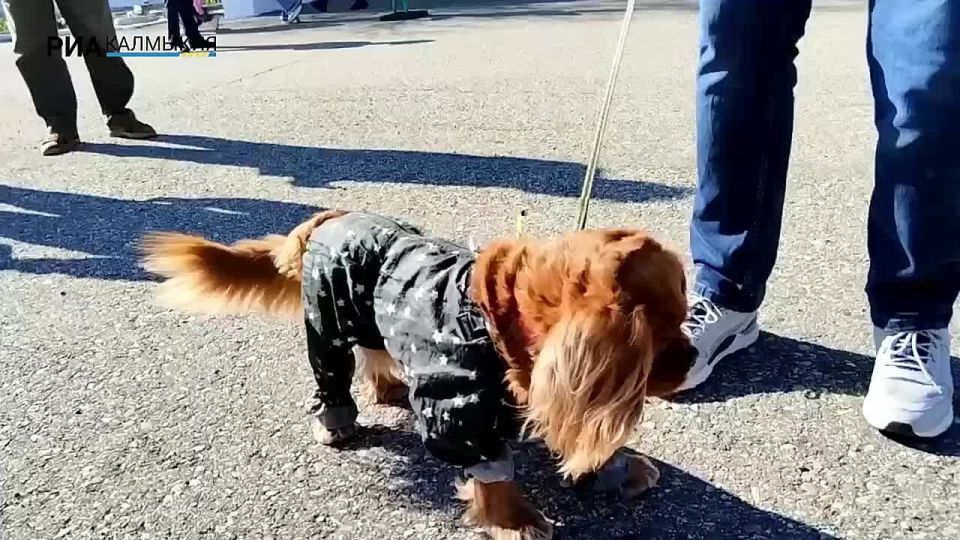 ��������� �������������� �� ��������� �����