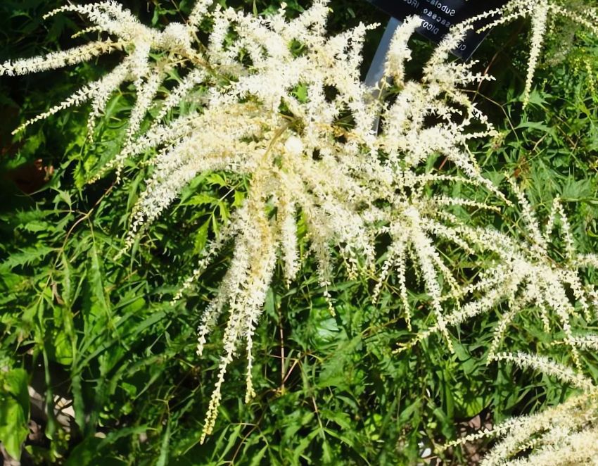 ���������� ��������: ������������ ���� � ������������ ��������