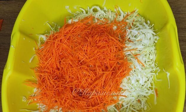 ������������ ������ ������: ��� ������� ������� ��������� �������