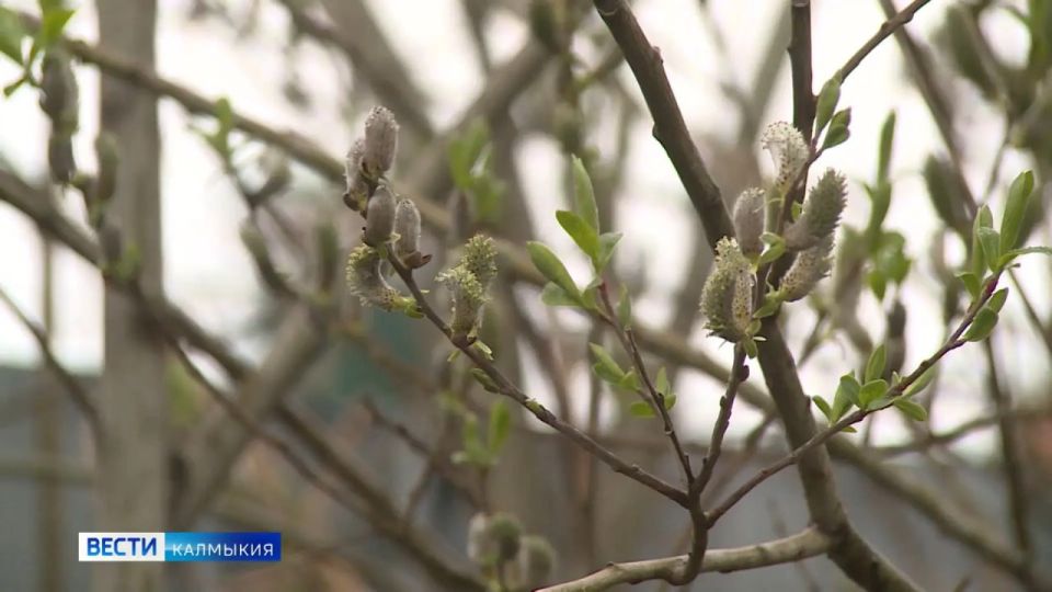 ������� ������ ���� ��������� ������, ��� ��� �������� ������� �����������